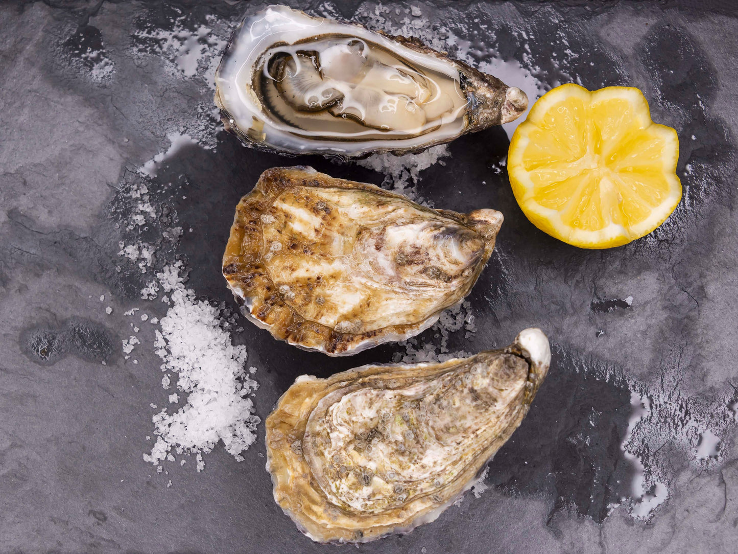 Huîtres Spéciales de Cancale N°2