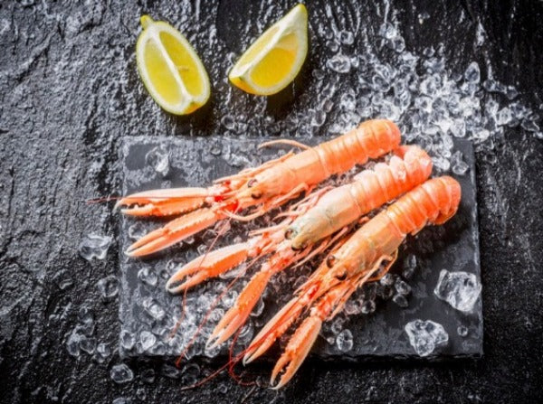 Langoustines Vivantes